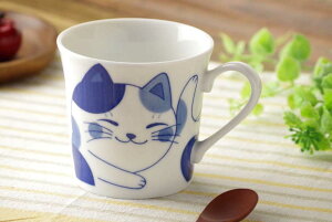 y  }OJbv/ ˂ }O 300cc ~P /L lR  ƒp a ₵