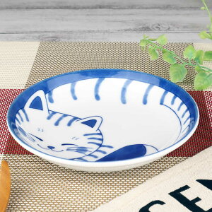 H y  M 13.5cm/ ˂4.0M g /yH  L lR  ƒp a ₵ 蕨 v[g p