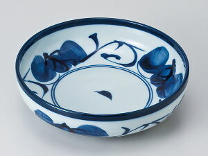 aH M ˎM/ Zc^6.8{[ /CfBbV apX^ ₵ǂ ₵ ₵ Ɩp ƒp Ƒw Noodle Plate