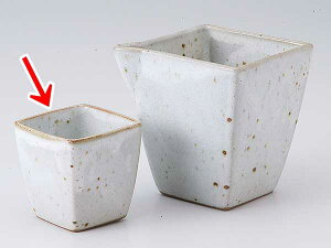   ۂ u/ pt / Ɩp ƒp Mtg v[g 蕨 sake