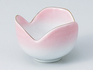 ピンク 漬物の通販 価格比較 価格 Com
