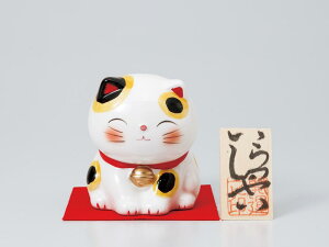 l` L oN/ ققݕLoN /u 蕨 v[g N