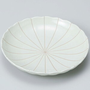 aH M ˎM/ \e^7.5M /CfBbV apX^ ₵ǂ ₵ ₵ Ɩp ƒp Ƒw Noodle Plate