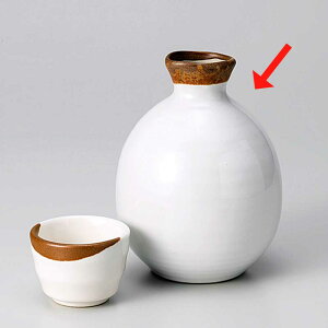   / ʑ哿 /{ Ɩp ƒp 蕨 v[g