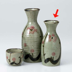   / vq~  /{ Ɩp ƒp 蕨 v[g