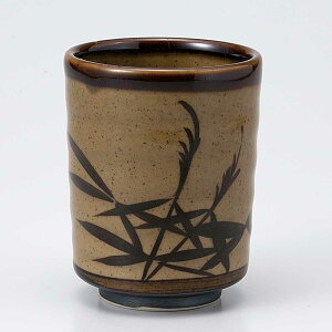 i XXL F/ Zi /Ɩp 蕨 ̓ ̓ hV̓ v[g