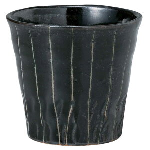  t[Jbv/ \ĒJbv /ĒJbv r[Jbv ~ Ɩp ƒp Mtg v[g 蕨 cup without handle