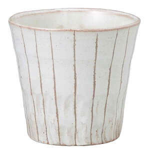  t[Jbv/ \ĒJbv /ĒJbv r[Jbv ~ Ɩp ƒp Mtg v[g 蕨 cup without handle