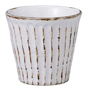  t[Jbv/ K̂bN /ĒJbv r[Jbv ~ Ɩp ƒp Mtg v[g 蕨 cup without handle