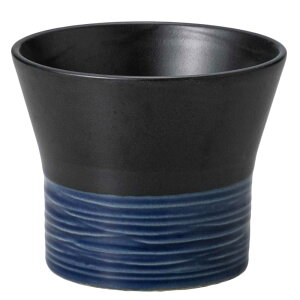  t[Jbv/ bvu[JbvL /ĒJbv r[Jbv ~ Ɩp ƒp Mtg v[g 蕨 cup without handle