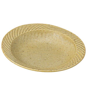 H ˎM pX^M J[M/ ^[NJ[M }bg /₵ǂ ₵ ₵ Ɩp ƒp Ƒw Noodle Plate