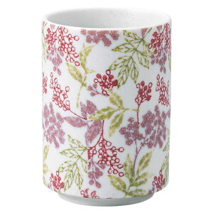 H ۂ ̂ / n[xXg /  Mtg v[g 蕨 JtF