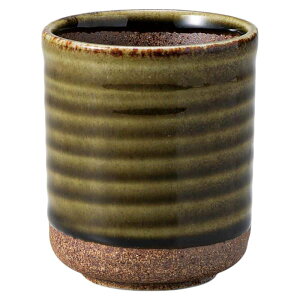 H ۂ ̂ / ɉꂨ  /  Mtg v[g 蕨 JtF