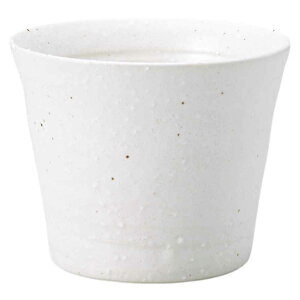  t[Jbv/ JWAJbvij /ĒJbv r[Jbv ~ Ɩp ƒp Mtg v[g 蕨 cup without handle