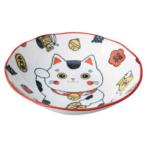 aH M ˎM/ NL 8DN[v  /CfBbV apX^ ₵ǂ ₵ ₵ Ɩp ƒp Ƒw Noodle Plate