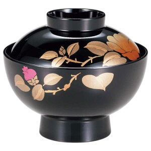 aH   `q zq/  ˋzo R /ƒp Ɩp Lacquerware