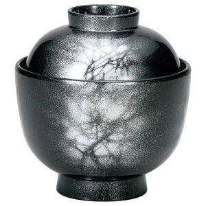aH zO  `q zq/ ʏzo E┪_  /ƒp Ɩp Lacquerware