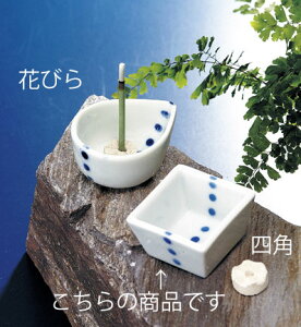  u /  ~j lp /N J^ v[g 蕨 