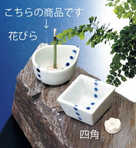 u /  ~j Ԃт /N J^ v[g 蕨 