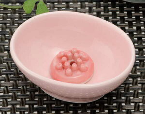  u / ȉ~~j sN(ʕt) /N J^ v[g 蕨 