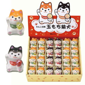 �Č� �u�� ���� ���� 24�Z�b�g/ ��񂱓��a�ʂ����Č��f�B�X�v���C�Z�b�g /���� �C���e���A ���蕨 �v���[���g