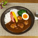 食器 深皿 パスタ皿 カレー皿 シチュー皿/ マットブラウンカレー皿 /パスタ皿 盛り皿 スープ 主菜皿 サラダ 業務用 家庭用 麺皿 焼きそば オムライス