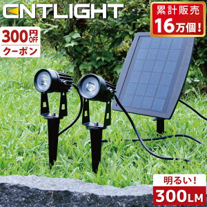 y300~OFFN[|z X|bgCg O CgAbv  \[[Cg ^ K[fCg h ZT[ V{c[ Cg \[[[d ENTLIGHT (GgCg) B-02