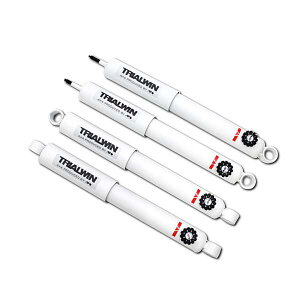 Wj[ TXyV TRIALWIN 8i VbN 甪i 1䕪 JA11 AsI APIO