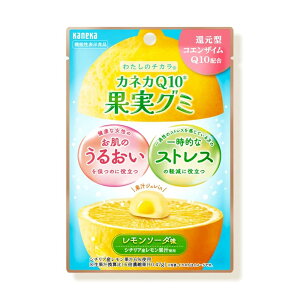 KANEKA �J�l�JQ10 �ʎ��O�~ 40g×10�� �������\�[�_�� �Ҍ��^�R�G���U�C��Q10�z�� �V�`���A�Y�������ʏ`6���g�p