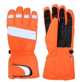 スキー 手袋 メンズ スキーグローブ スノーグローブ 男性用 防寒手袋 冬 屋外作業 手袋 M L LLサイズ