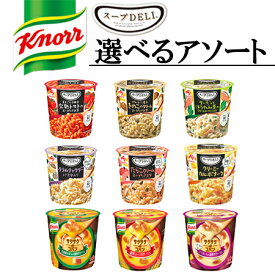 味の素　選べる24個セット クノール スープDELI 6個入り×4ケース　合計24食入セット カップスープ インスタントスープ スープデリ