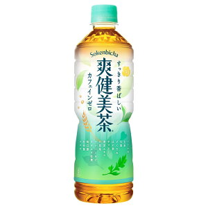 【コカ・コーラ】【2ケースセット】爽健美茶 PET 600ml 24本×2箱 合計48本