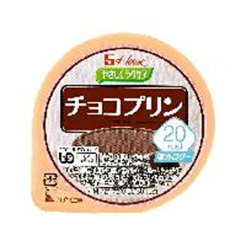 ハウス食品　やさしくラクケア　60g　20kcalチョコプリン　60g×48個