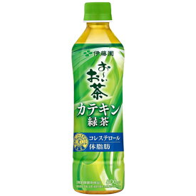 【2ケース】伊藤園　カテキン緑茶　500ml×48本　特定保健用食品