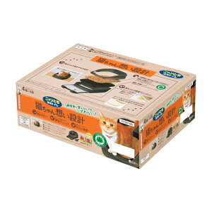 GXe[@jƂgC@I[v^Cv@uE@@1Zbg×1