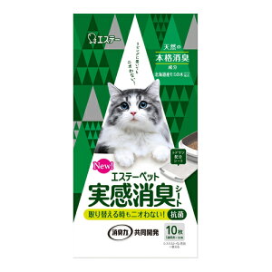 GXe[ybg@LV[g@LpVXegC@10×24