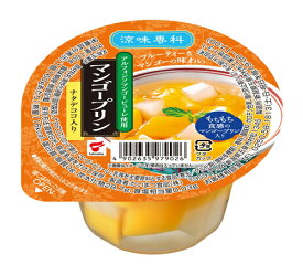 たいまつ食品　　涼味専科　マンゴープリン　160g×24個