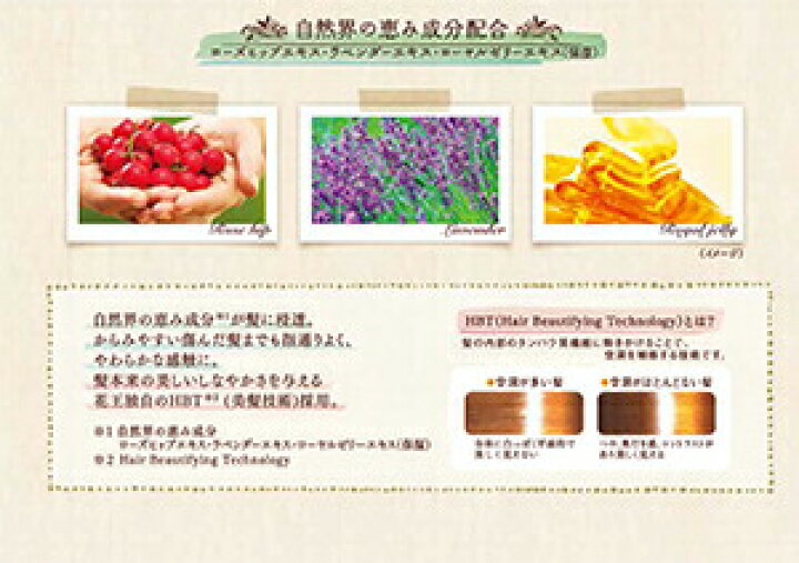 即納 最大半額 花王プロフェッショナル 業務用 フィエスタ ピュアシャイン リンスインシャンプー 容量 300ml Qdtek Vn