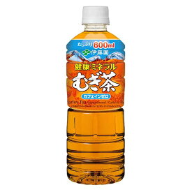 【2ケース】伊藤園　健康ミネラルむぎ茶　600ml×24本×2箱　合計48本