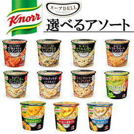 味の素　選べる24個セット クノール スープDELI 6個入り×4ケース　合計24食入セット カップスープ インスタントスープ スープデリ