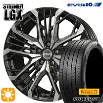 楽天市場】シュタイナー lsv 19の通販
