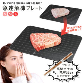 【MAX1000円OFFクーポンあり】解凍プレート おまけ付き TVで話題 正規品 急速解凍プレート S M L サイズ 3mm 便利グッズ 省エネ 時短 タイパ エコ 電気不要 アルミ 解凍皿 肉 魚 刺し身 野菜 家庭用 業務用にも 急速冷凍 粗熱取り