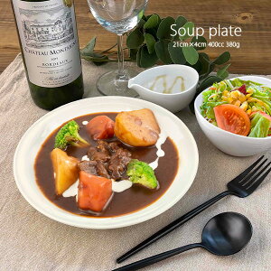 ؂ƁI pX^M (⏬Ԃ) 21cm 400cc AEgbgi  [M qJ[M X[vM T_M T_{E M ق̂AC{[ j[{[ { Z ē