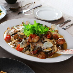 I[o M 31.5 H Z { AEgbg ȉ~ M p[eB[M Ɩpɂ