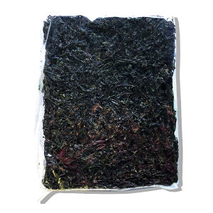 乾燥青のり【乾パレ】約150g ★韓国産 /青のり /パレムチム /海藻 /韓国食材 /韓国料理 /韓国食品【青海苔を乾燥させたもの】夏:冷蔵発送(冷蔵庫保管中)