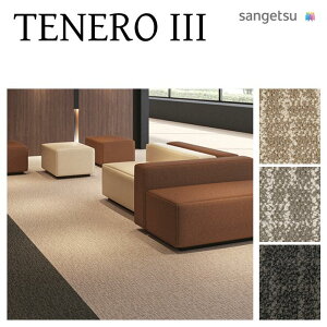 �y���������z�y�P�[�X���z�T���Q�c �^�C���J�[�y�b�g 500mm×500mm 16�� DT DT�V���[�Y 50cm�p ���� �p�l���J�[�y�b�g �J�[�y�b�g�^�C�� DT48012 DT48014 DT48015