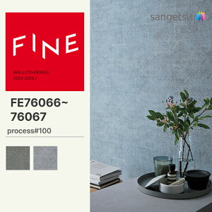 yFINEz yʃNXzTQc ̂薳 FINE process#100 PERISIAN DREAM 92.5cm FE76066 FE76067