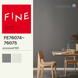 yFINEz yʃNXzTQc ̂薳 FINE process#100 92.5cm FE76074 FE76075