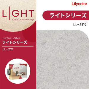 J ̂Ȃǎ NX Xg[EKE^C ؖуZg LIGHT Cg 2025-2028 LL6119 h sR sR OX}bgZ@