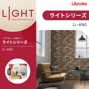 �����J�� �̂�Ȃ��ǎ� �N���X �X�g�[���E�����K�E�^�C�� LIGHT ���C�g 2025-2028 LL6162 �h���� �s�R ���s�R �O���X�}�b�g�Z�@